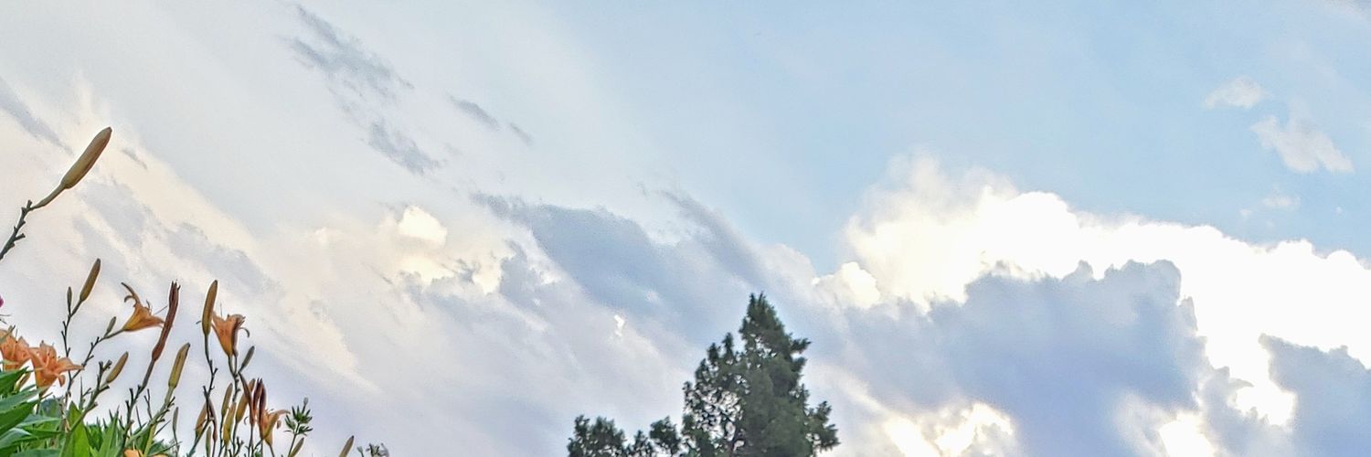 tresuremone's profile banner image