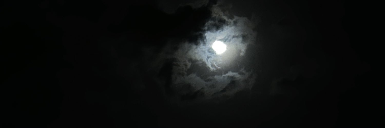 lil_llyll's profile banner image