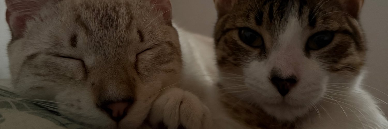 rdgojuan's profile banner image