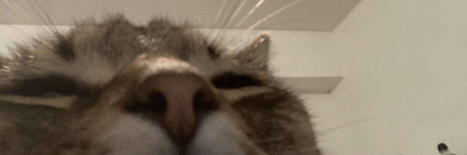 kllytaa's profile banner image