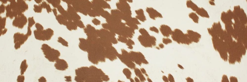 katherine_615's profile banner image