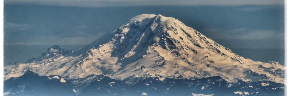 Blueweed's profile banner image