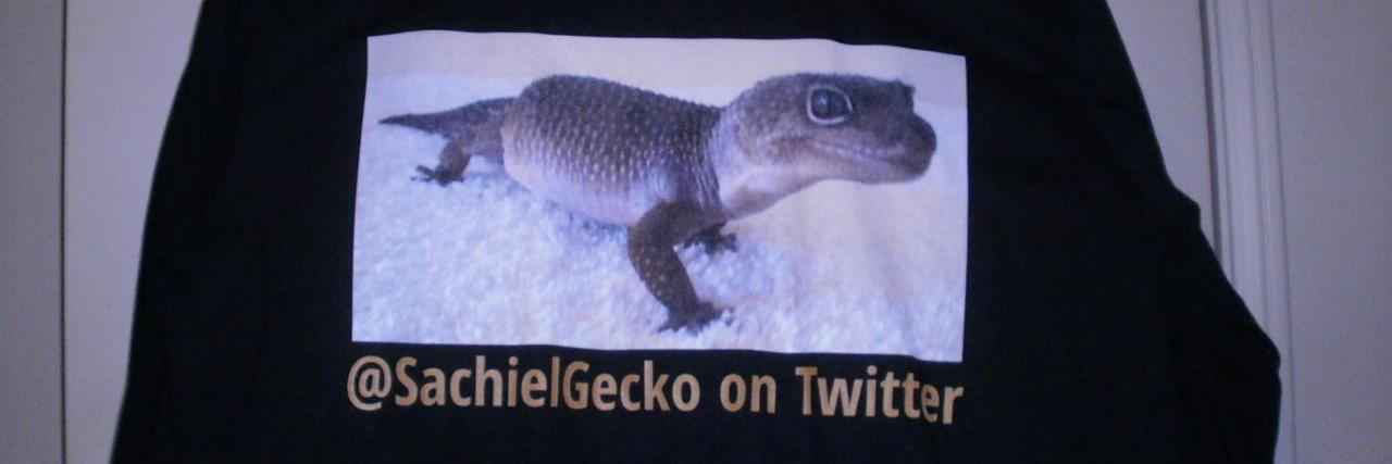 SachielGecko's profile banner image