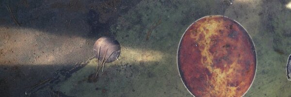 janmillsapps Profile Banner