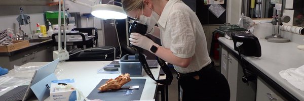 CaitlinMudge522 Profile Banner