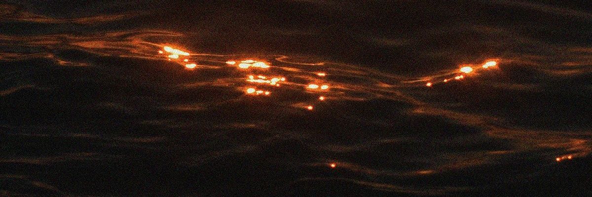 YittyBloodlust's profile banner image