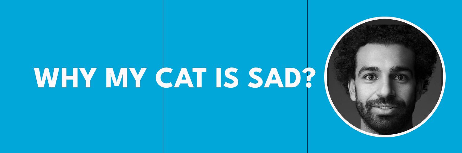 MYSADCAT banner