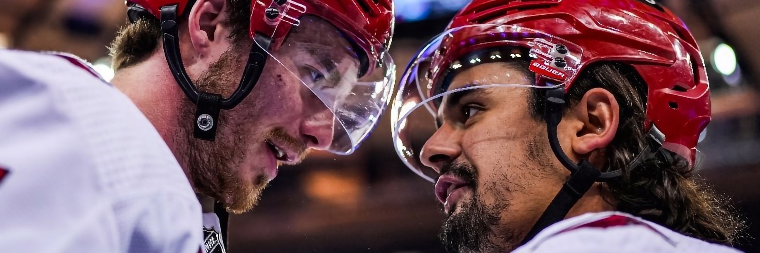 nhlru's profile banner image