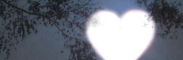 chaibabi's profile banner image
