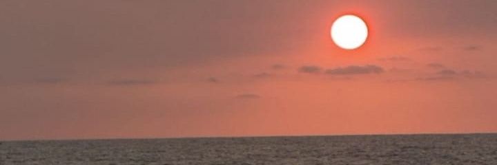 Jocesjo's profile banner image