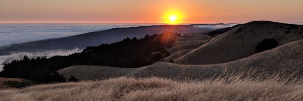 ericfacas Profile Banner