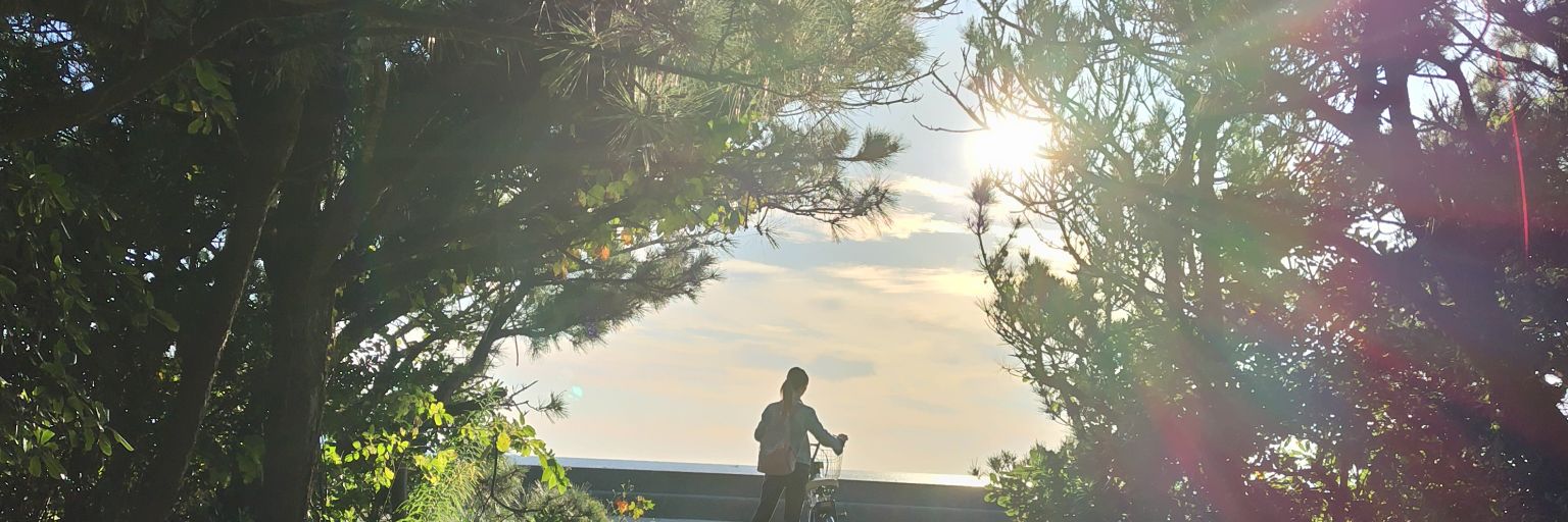 etsuko8572's profile banner image