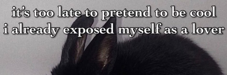 — banner