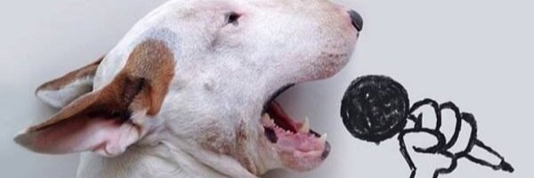 Cosmonauta de ykua satí banner
