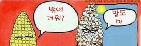 옥수수 좋아 banner