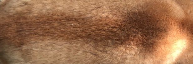 ADaCih___'s profile banner image