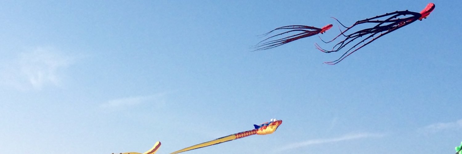 annickruyts's profile banner image