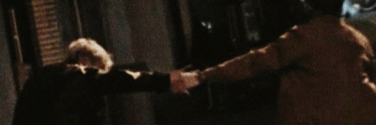 𝘮𝘳. 𝘳𝘢𝘣𝘣𝘪𝘵 ☕ banner