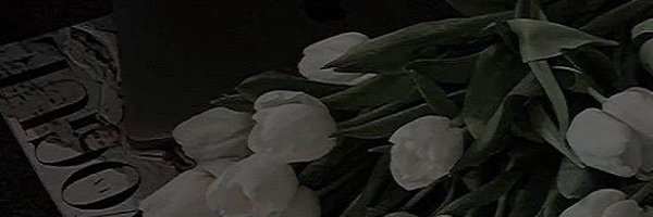 nena🥕 Profile Banner