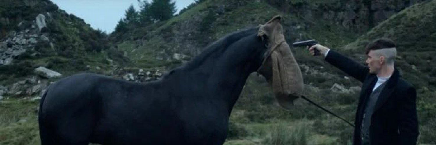 MERA_ORA's profile banner image