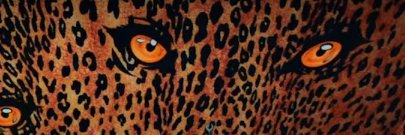 yazzymt's profile banner image