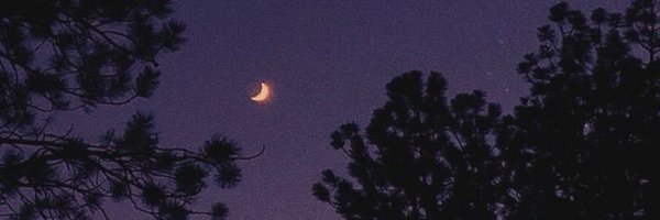 vnahnfh Profile Banner