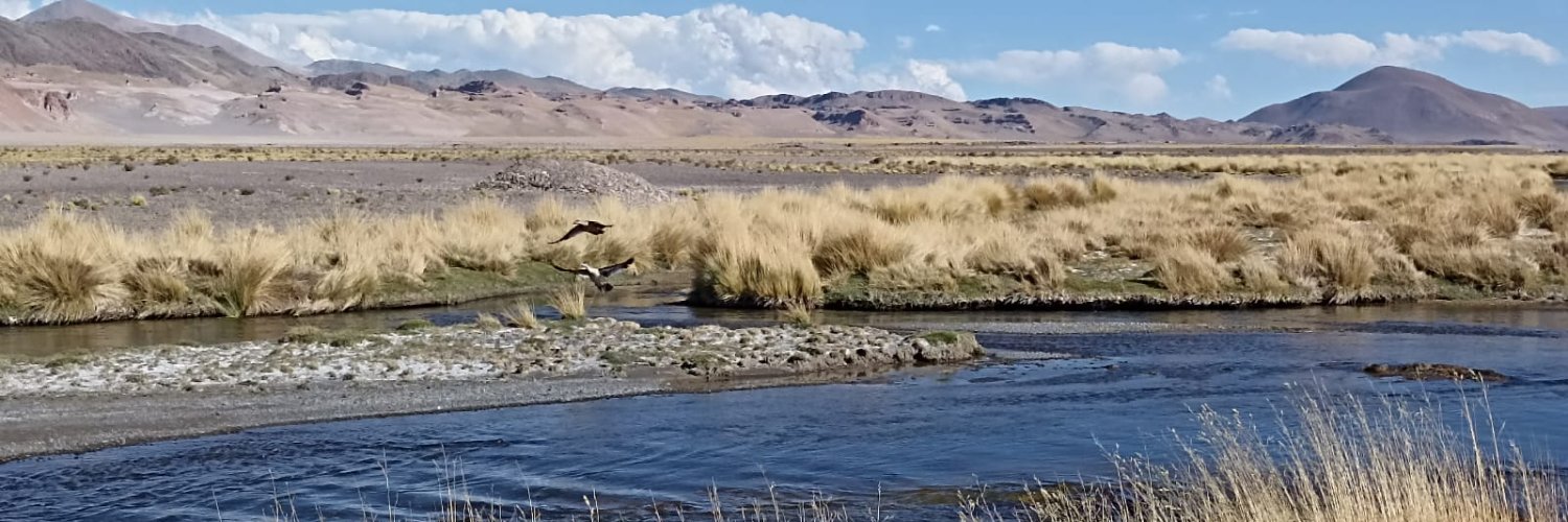 flacoRmartinez's profile banner image
