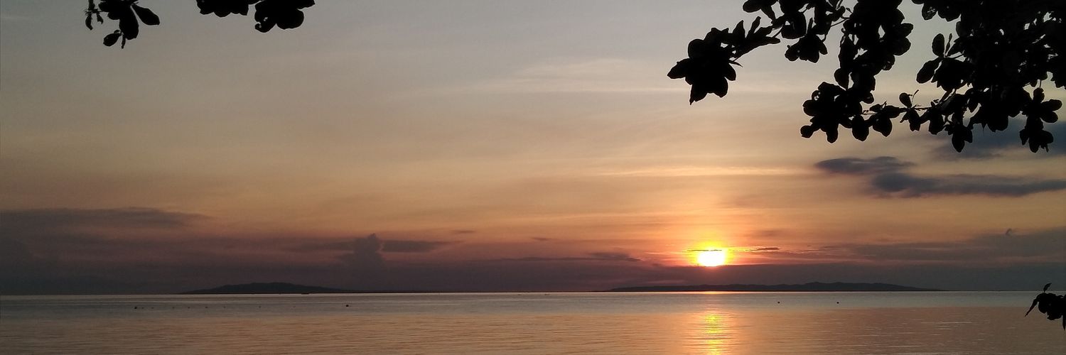 pelipeee's profile banner image