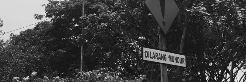 Tralalaalma's profile banner image