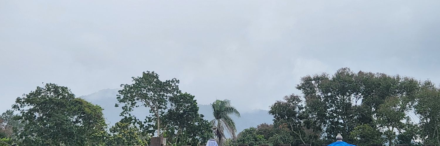 cmrosadom's profile banner image
