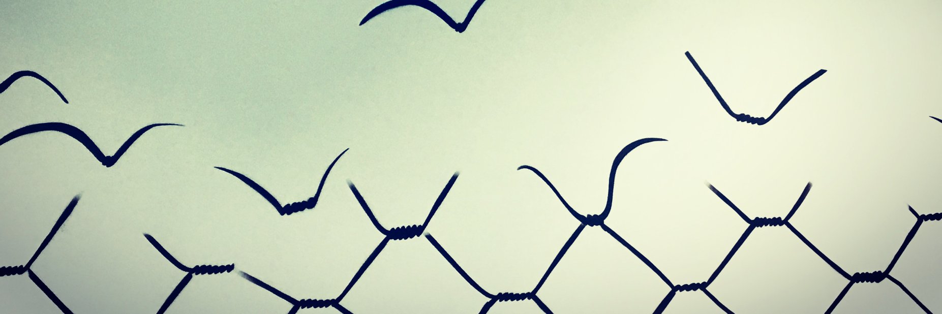 Nafisa Hasanova banner