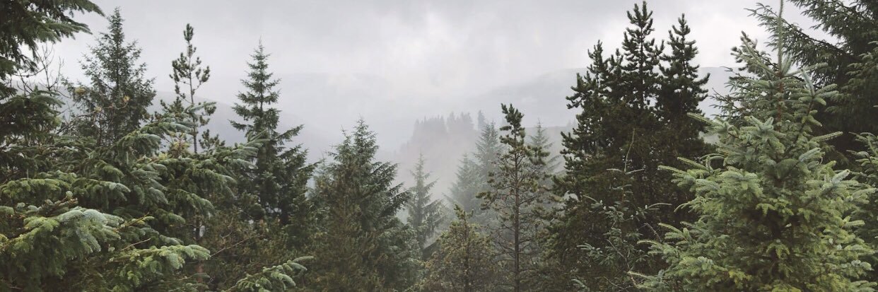 BasedangloH's profile banner image