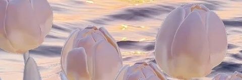 Shylie2_'s profile banner image