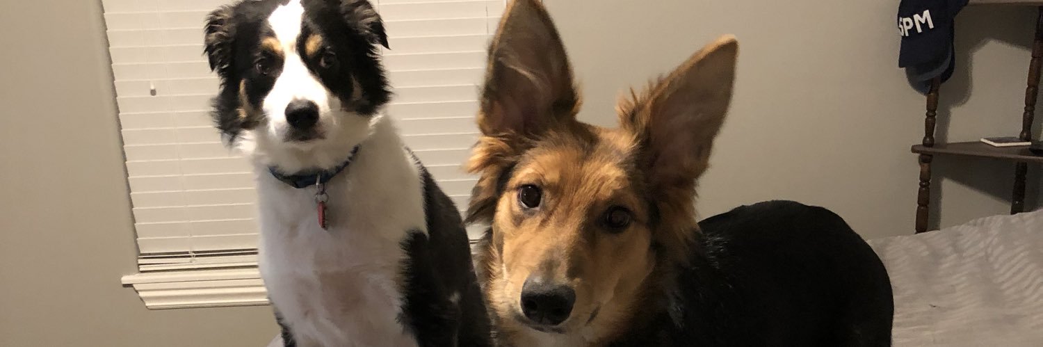 HP_Brostache's profile banner image