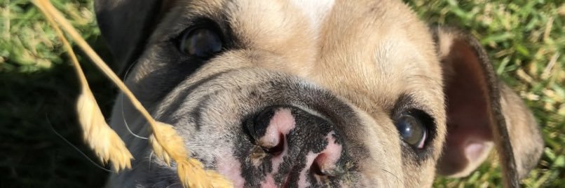 AlinaBby7's profile banner image