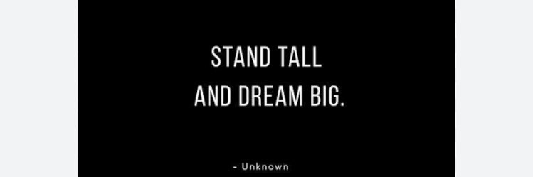 BigW . The punter banner