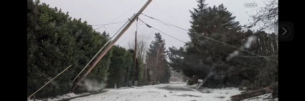 anovickis Profile Banner