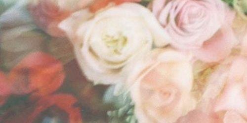 Gardtkata's profile banner image