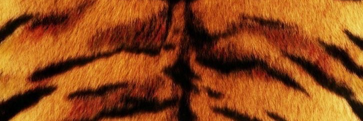 malu on mars's banner