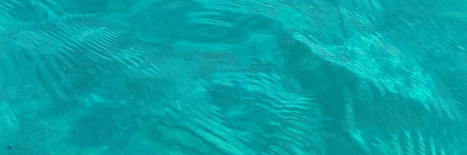 violetcaru's profile banner image