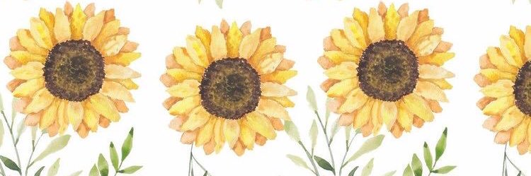 sunhazzflower's profile banner image