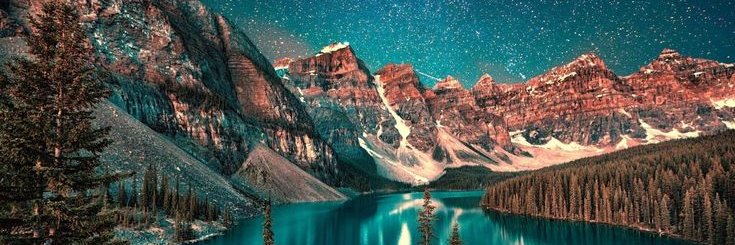 Veta Inge❤️ Memecoin banner