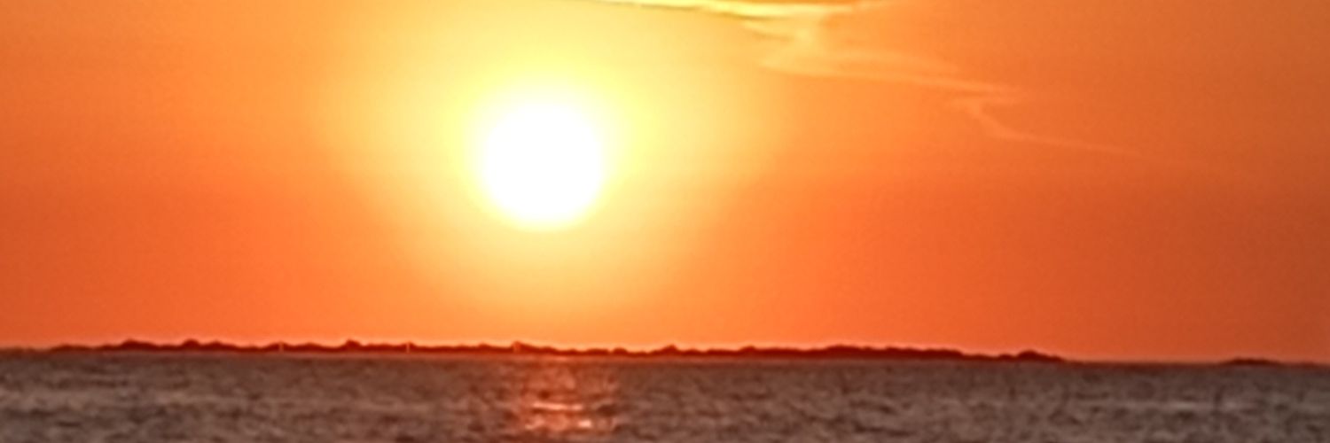 anassors's profile banner image
