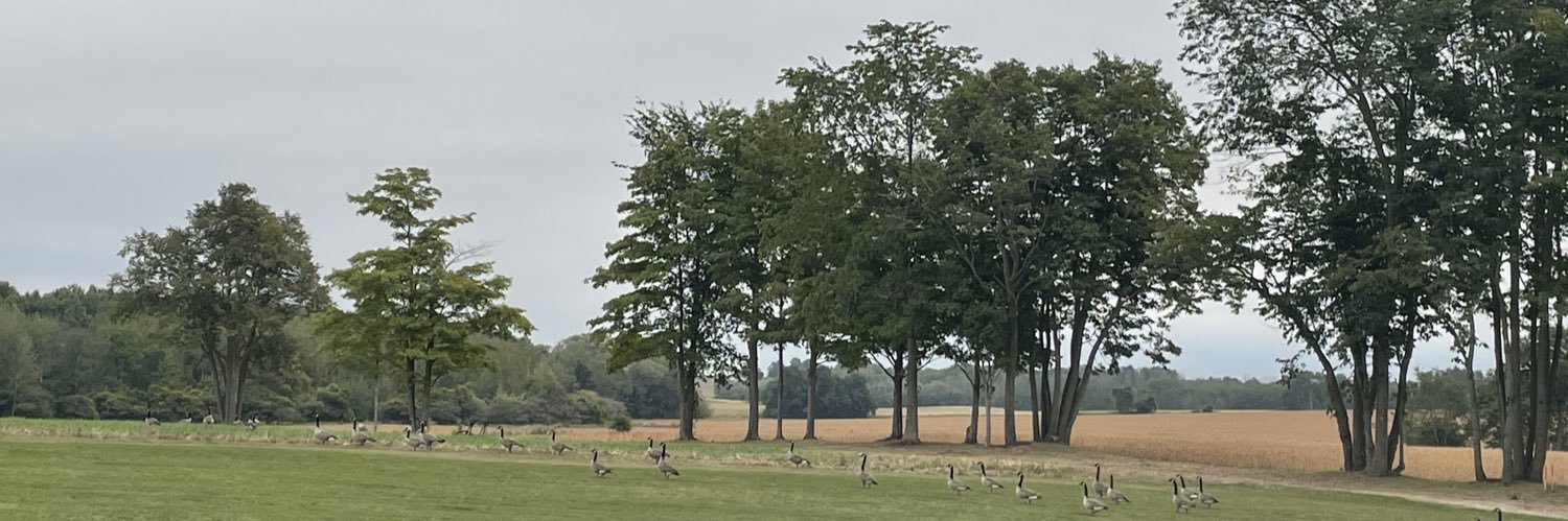 Denise Hockaday banner