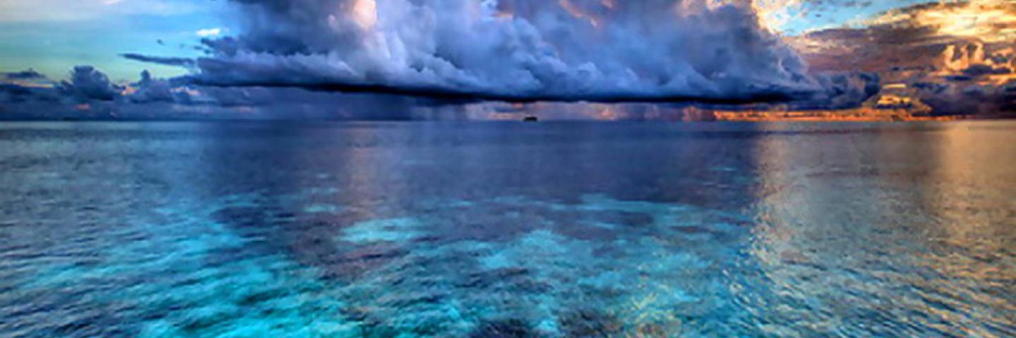 AnIsLaGo's profile banner image