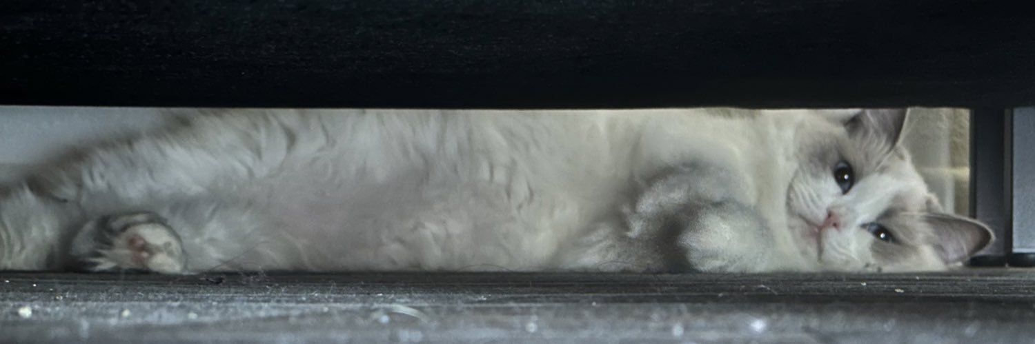 itskarmathecat's profile banner image