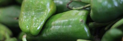 Terractiva's profile banner image
