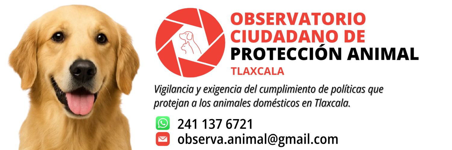 Observatorio Ciudadano de Protección Animal banner