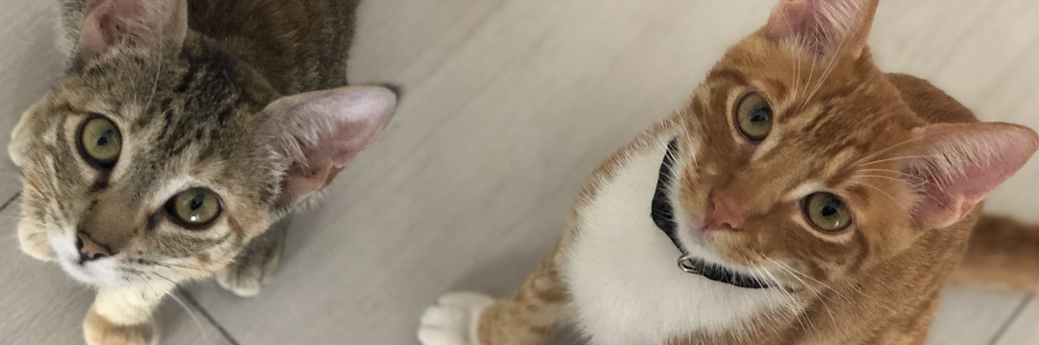 Edgar18a's profile banner image