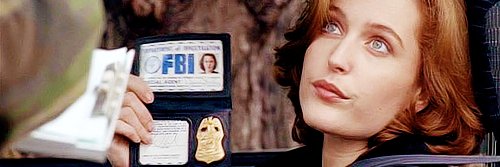 Agente Scully 🇻🇪🇺🇸🗽's banner